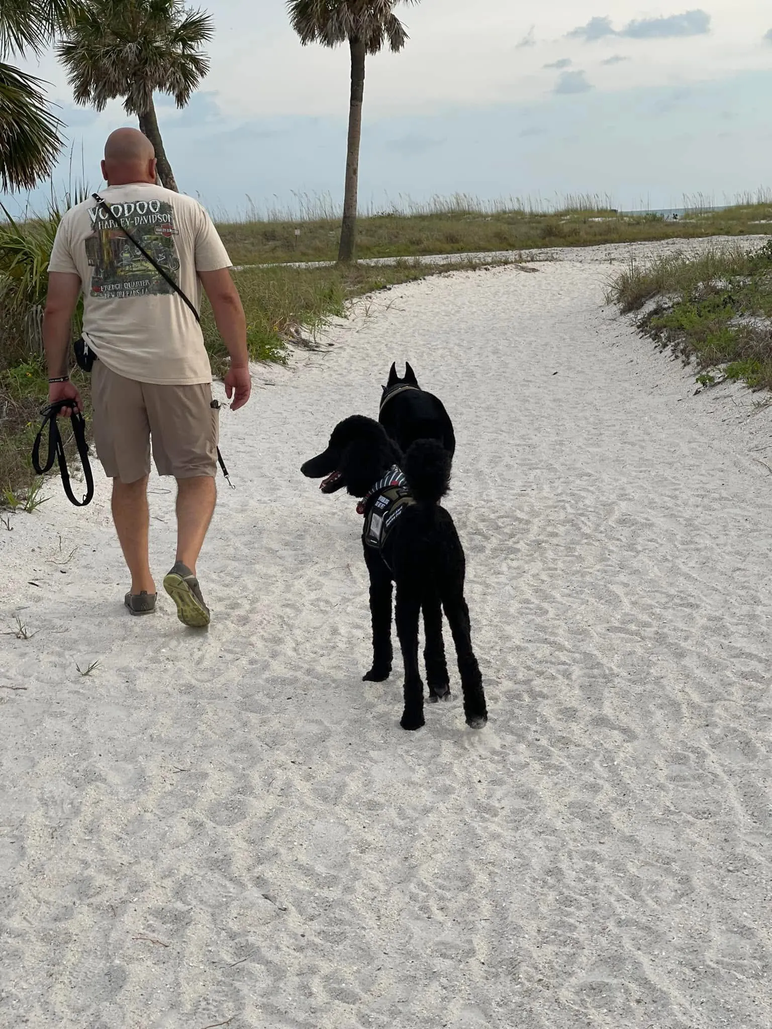 Trainer working one-on-one with a dog during private dog training