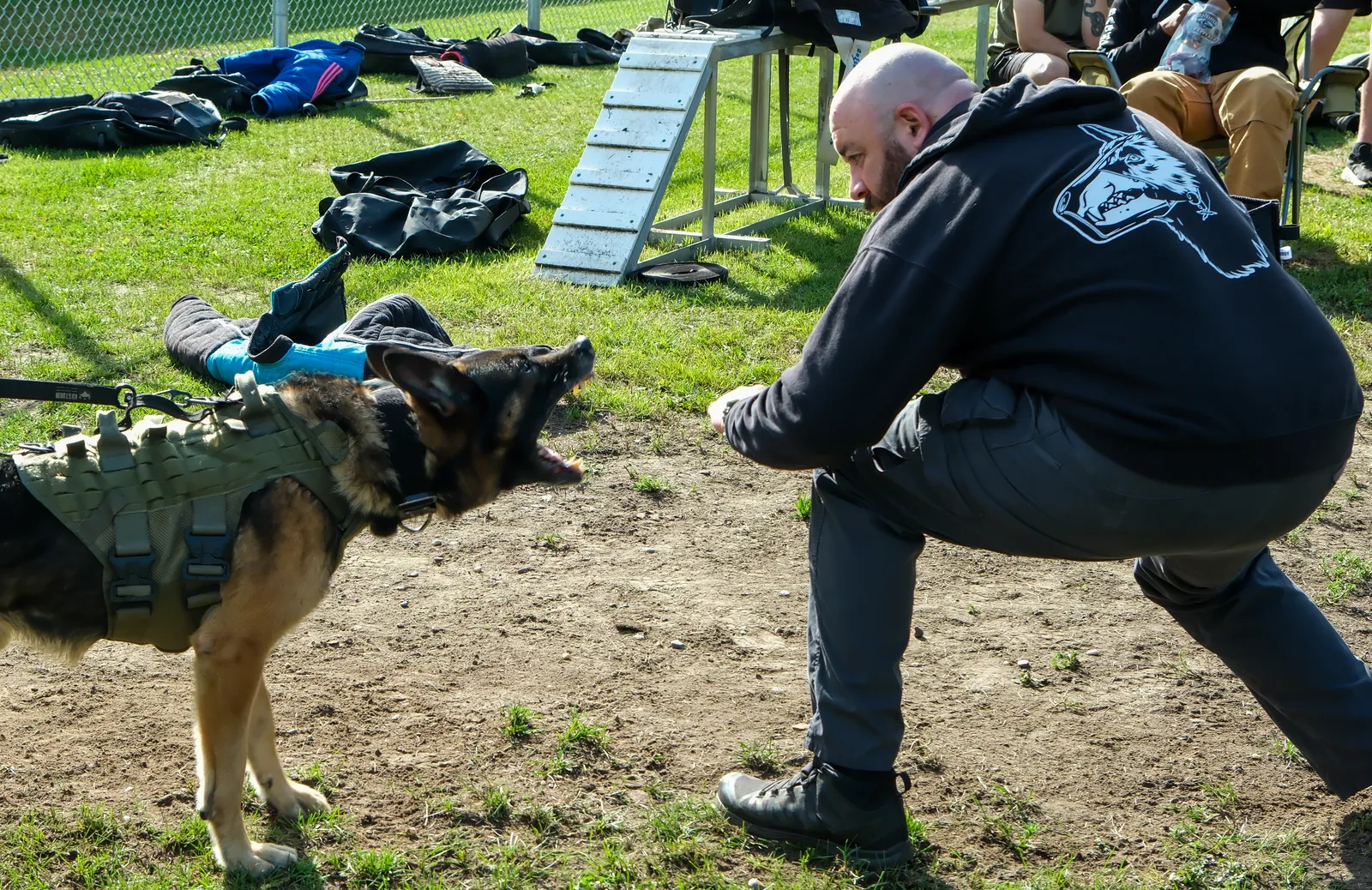 Working dog at an agency K9 seminar