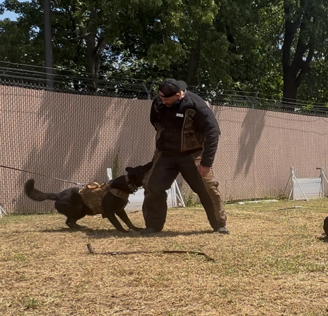 K9 decoy training at an 8UP K9 seminar