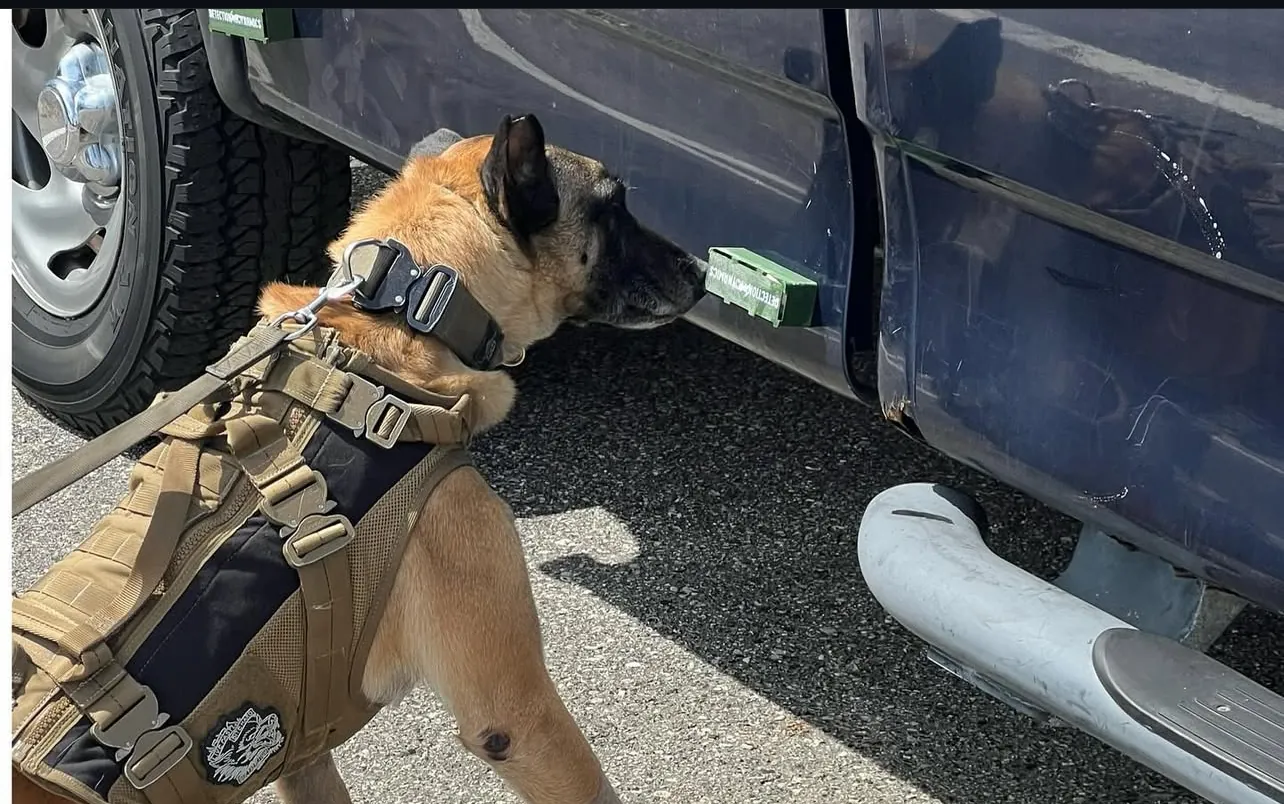 K9 detection training at an 8UP K9 seminar